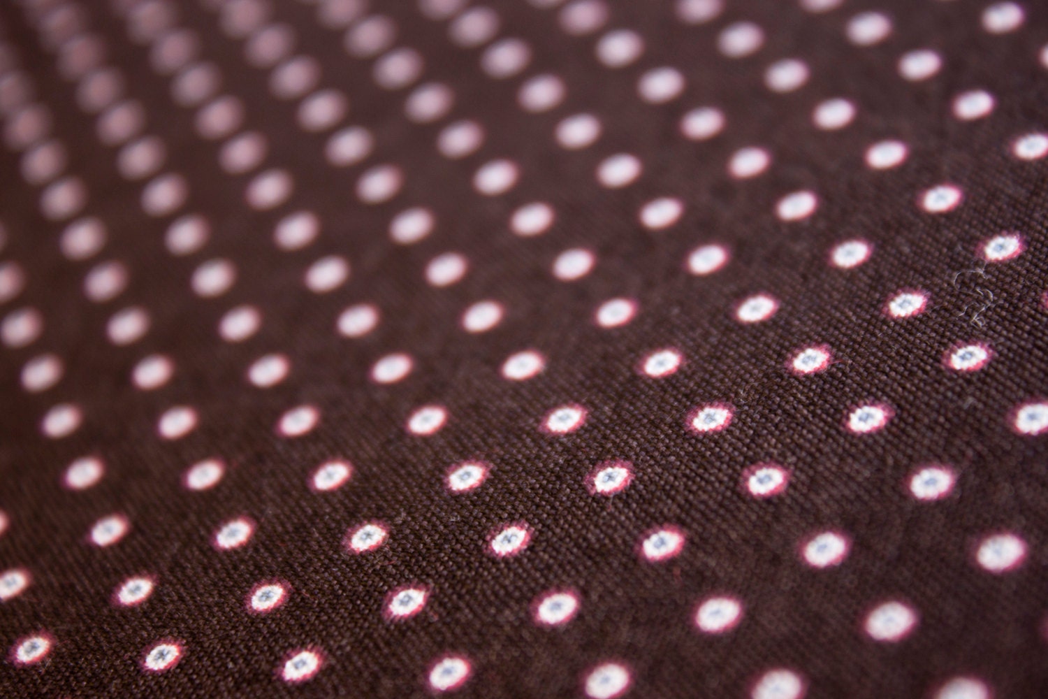 Paisley Panache Dots 1 yard