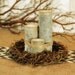 Rustic Birch Log Votive Tea Light Candles SET OF 3 Natural, Woodland Centerpeice decorations