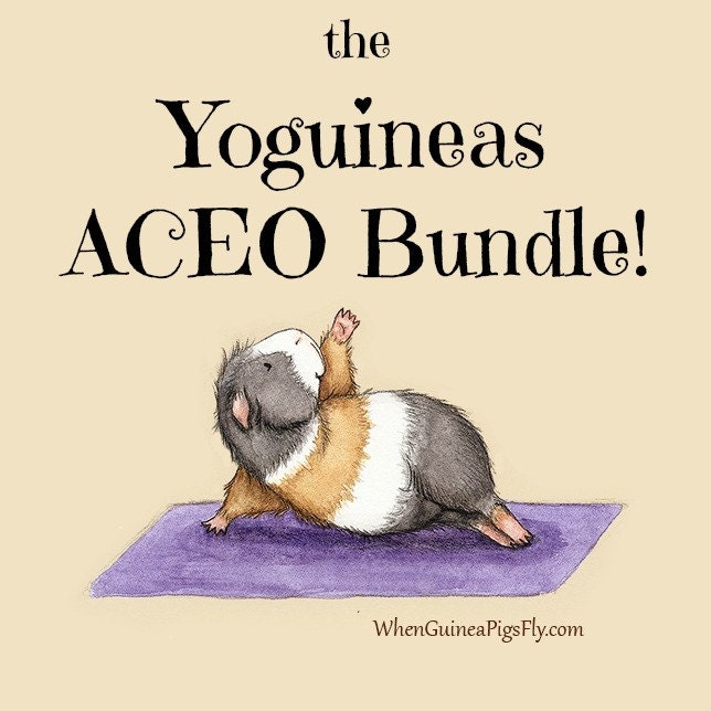 The Yoguineas Collection ACEO Bundle