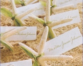 Lot of 25 - Natural White Finger Starfish, Bulk Buy - Great for Wedding Crafts - Sailors - Shell Crafts Party Escort Cards