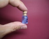 A tiny jellyfish in a tiny bottle XL