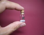 A palm tree at the beach in a tiny bottle