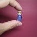 A super tiny jellyfish in a tiny bottle L