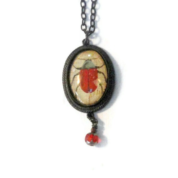 Beetle Necklace Scarab Beetle Pendant Red Bug Insect Jewelry