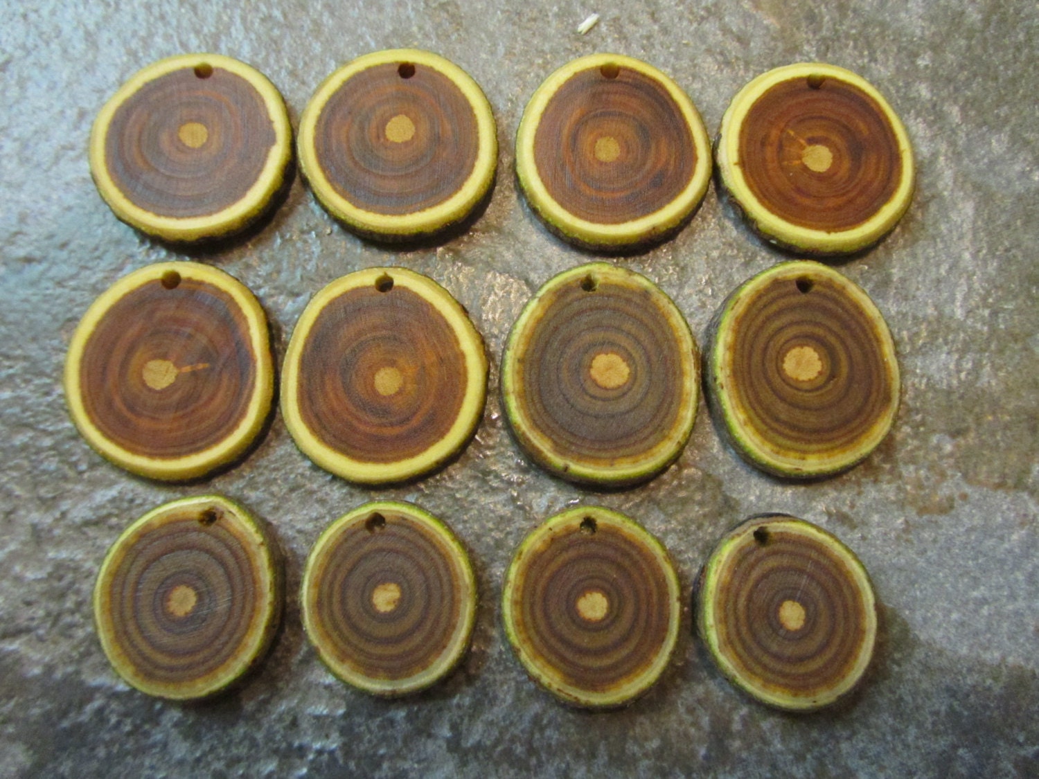 12 Sumac And American Smokebush Tree Branch Earring Or Pendant Blanks