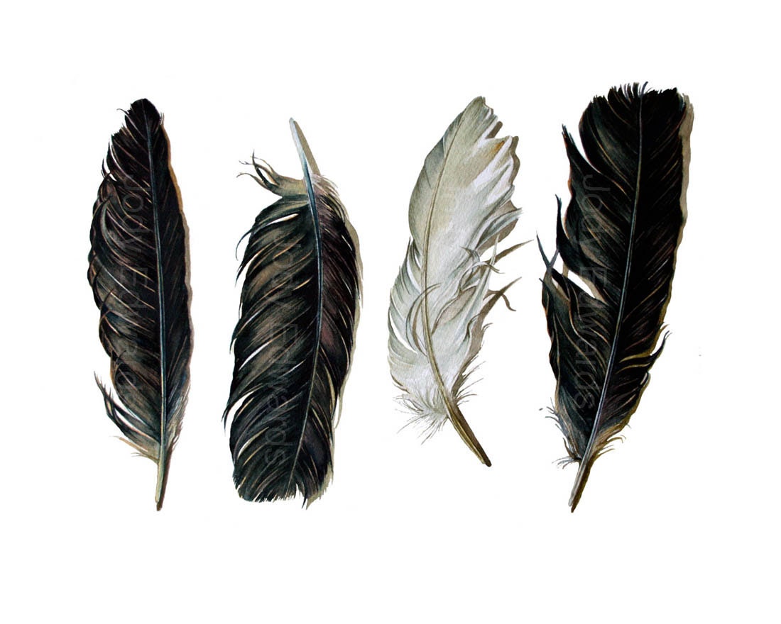 Spirit Feathers - Archival Print of the Watercolor Painting of Crow Feathers