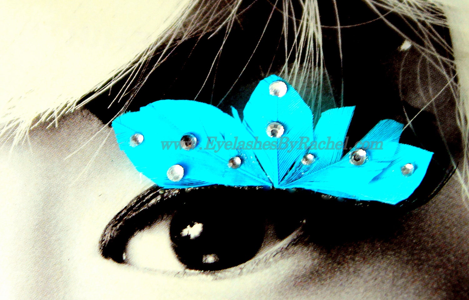 Blue Color spLashes Feather False Eyelashes