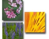 Seasonal Themed Prints 5x5 Set of Three Wall Decor Gift under 70 Beach Decor Autumn Floral Winter