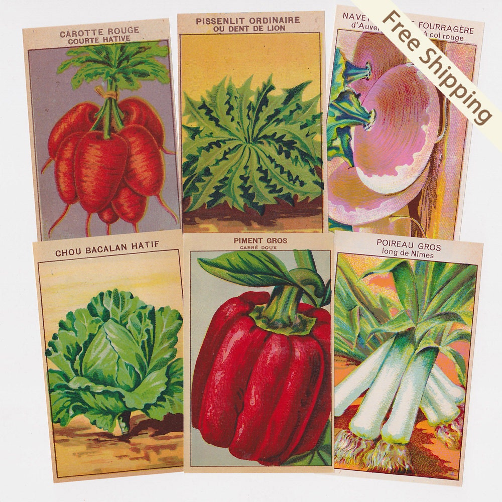72 Antique French Vegetable SEED PACKET LABELS  Botanic Garden Art Print Free Shipping