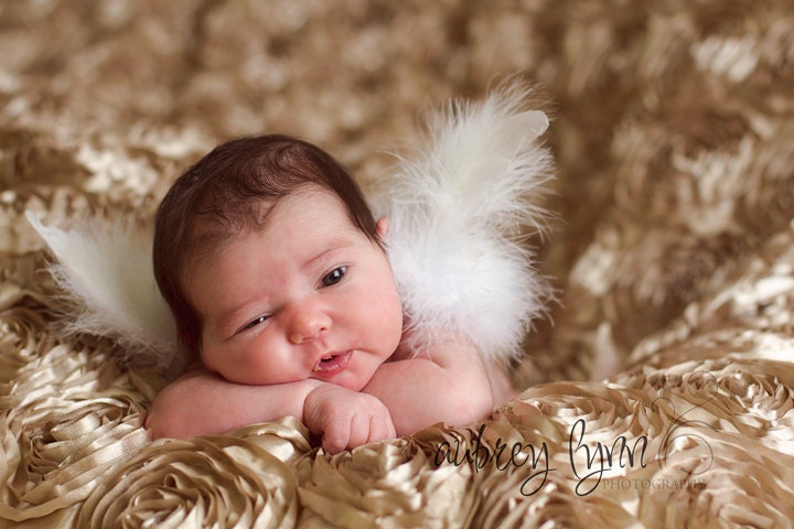 Sprouts ... Tiny Angel newborn wings for infant portraits and professional photography and photo prop ...  gift packaging