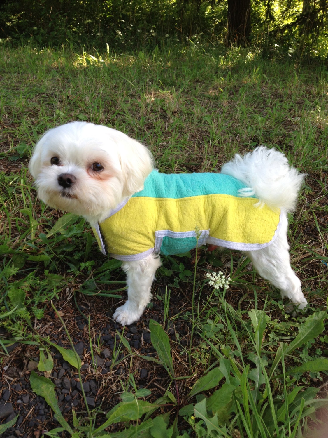 Tootlewear's All Breed German Shammy Cooling Coat Small
