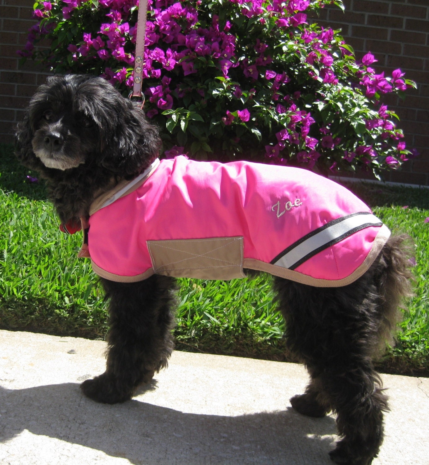 Tootlewear's Maximum Coverage Dog Raincoat XSmall to Large Sizes