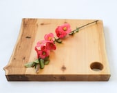 Rustic Cheese Board, Natural Edge Salvaged Wood 858, Ready to Ship