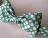 Robins Egg Blue and White Boy's Adjustable Bow Tie