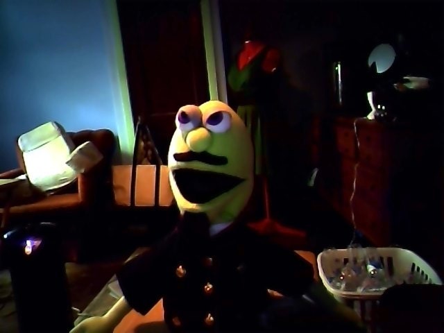 custom puppet reserved for Mike Grandizio