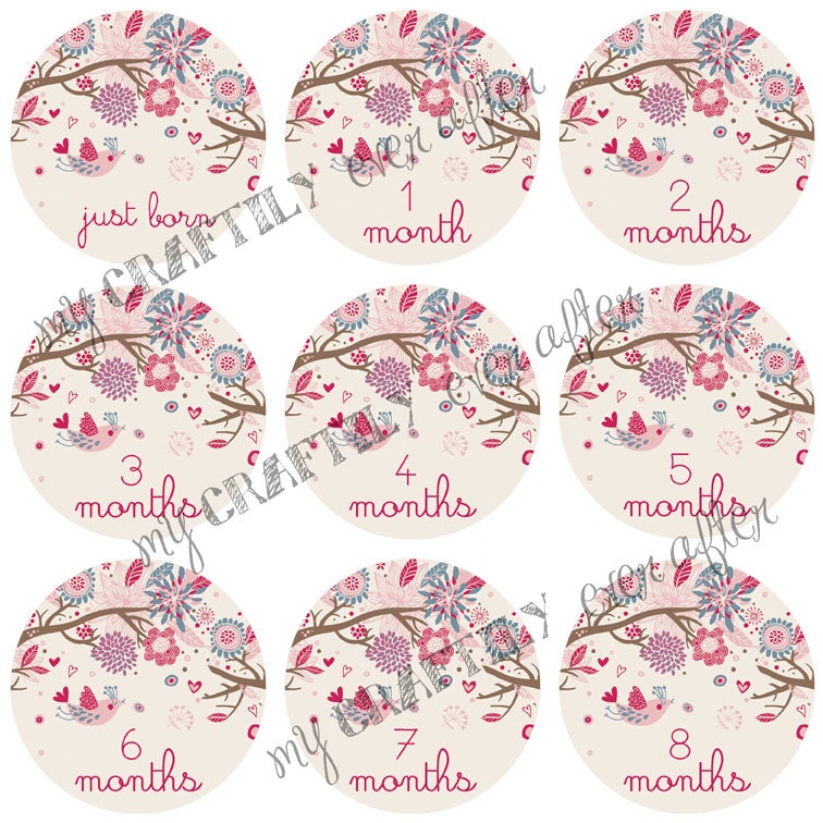 Monthly Onesie Decals  for Baby - Love Birds