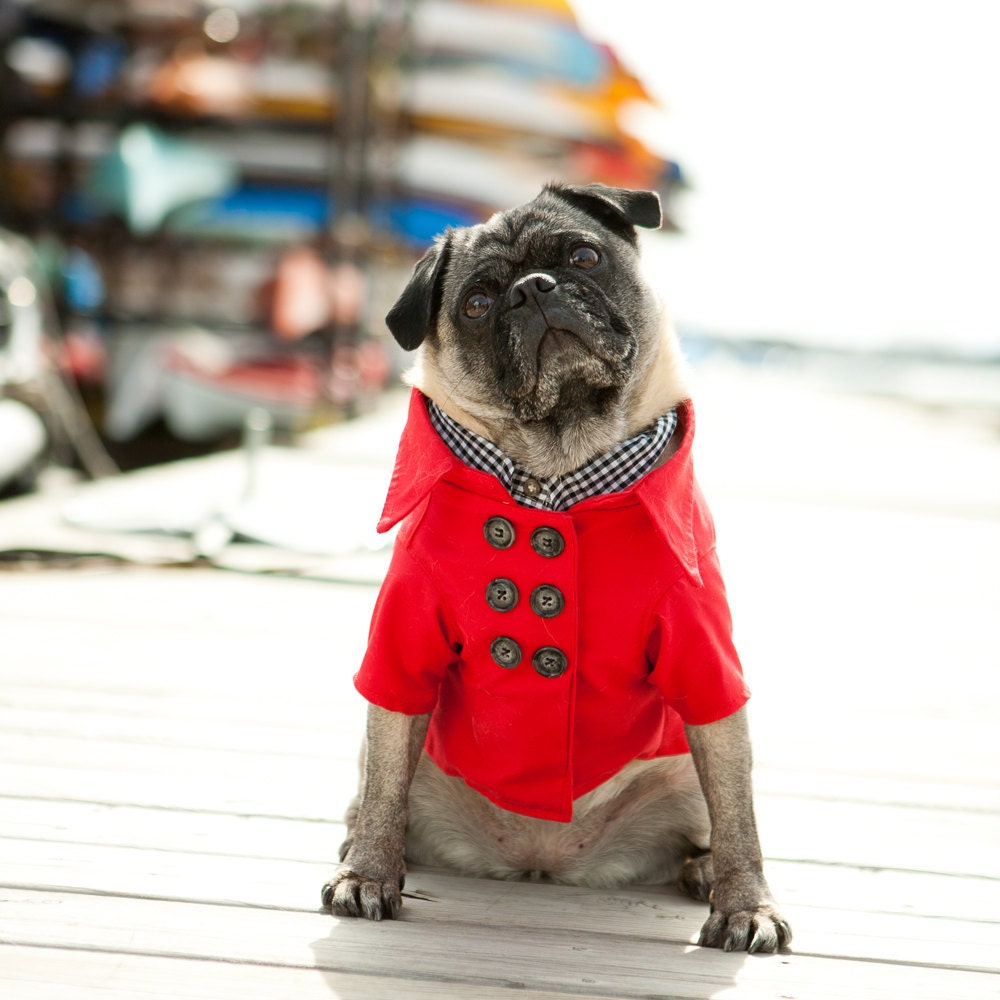 The Red Cabin Dog Peacoat