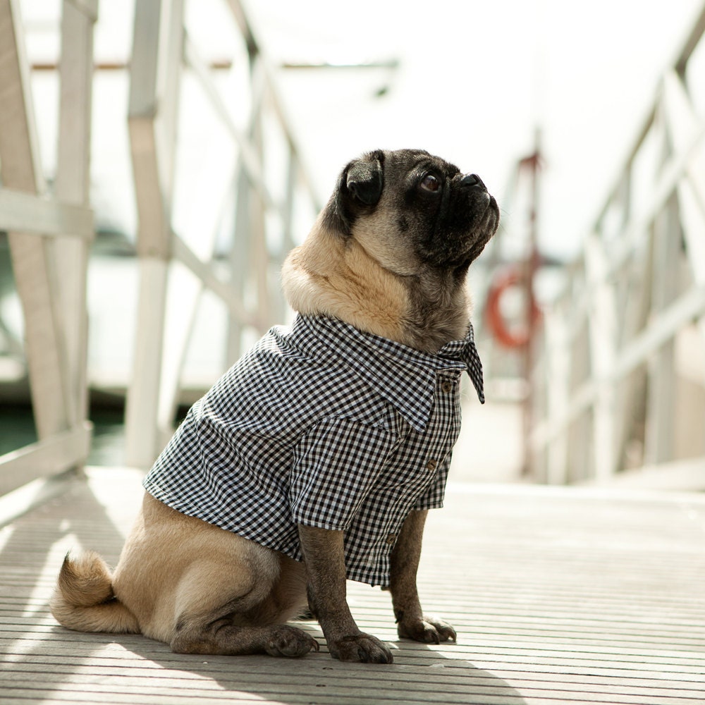 The Port Gingham Dog Shirt