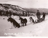 Snow Dog Team in Winter Vintage Postcard - Alaska or Canada, Pretty Snowy Landscape with Dog Sled, Dogs, and Team Real Photo Postcard