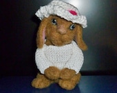 Floppy Eared Bunny needle felted animal  with Crochet Hat and Sweater