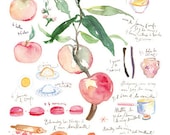French kitchen decor, Claude Monet cooking journals peach pie recipe,11X14 print, Watercolor Food art, Fruit painting poster, Botanical