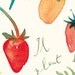 Kitchen decor, Strawberry illustration art print, Watercolor red fruit painting, 8X10 food poster