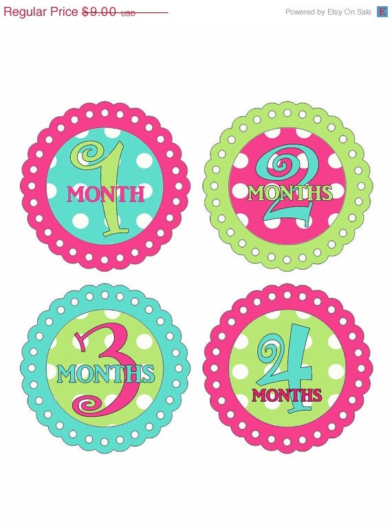Monthly Onesie Stickers Baby Month Stickers Baby Girl Stickers Monthly Onesie Stickers Baby Shower Gift Photo Prop Milestone Stickers