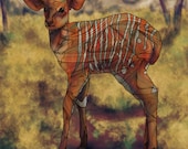 Nyala glossy or matte profession 8 X 10 art print,Africa,deer,goat,nyala,wild,mountain,illustration,art,detailed,