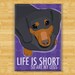 Dachshund Dog Magnet - Life is Short So Are My Legs - Black Dachshund