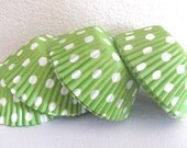 50 Light Green Polka Dot Standard Cupcake Liners Muffin Baking Cups