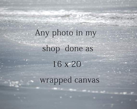 16 x 20 Canvas Print, Choose any Photograph in Shop, Home Wall Decor, Office Decor, Childs Room Decor, Nursery Decor, Bathroom, Guest Room