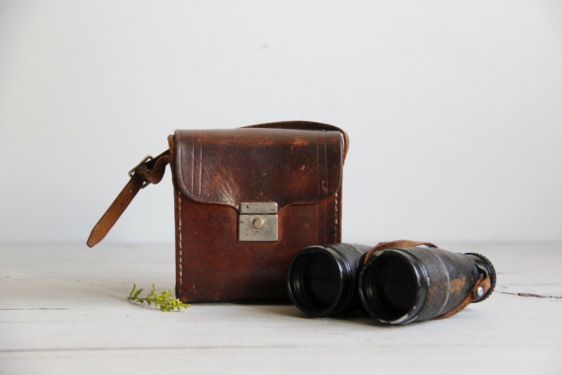 vintage airguide binoculars // small