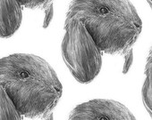 bunny phone case - iphone 5 - rabbit - 4 / 4S / 3G / 3GS / samsung S2 / S3 bunny rabbits