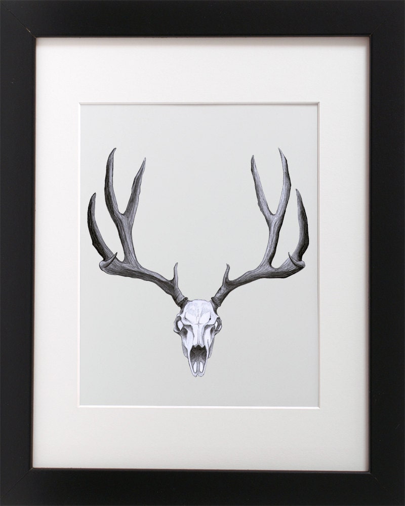 NZFINCH A4 stag skull, deer, antlers,  digital print of original artwork