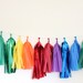 Tassel Garland-18 tassels - Rainbow