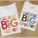 Big Sister, Little Sister, Big Brother, Little Brother Sibling Set, Embroidery Sibling Shirts