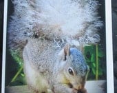 A Very Hungry Squirrel Note Card