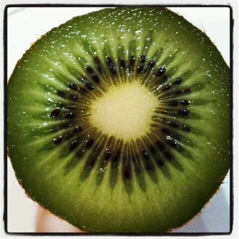 KIWI GREEN 4x4 Art Photo Print