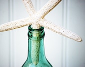 Vintage Bottle And Starfish Photograph 8x10