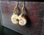 Fossil Earrings // Choose Any Color