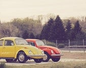 VW Beetle Photograph - Volkswagen Bug - Retro and Vintage - Home Decor - Iconic Cars - Fine Art Photography - "THE BEETLES"