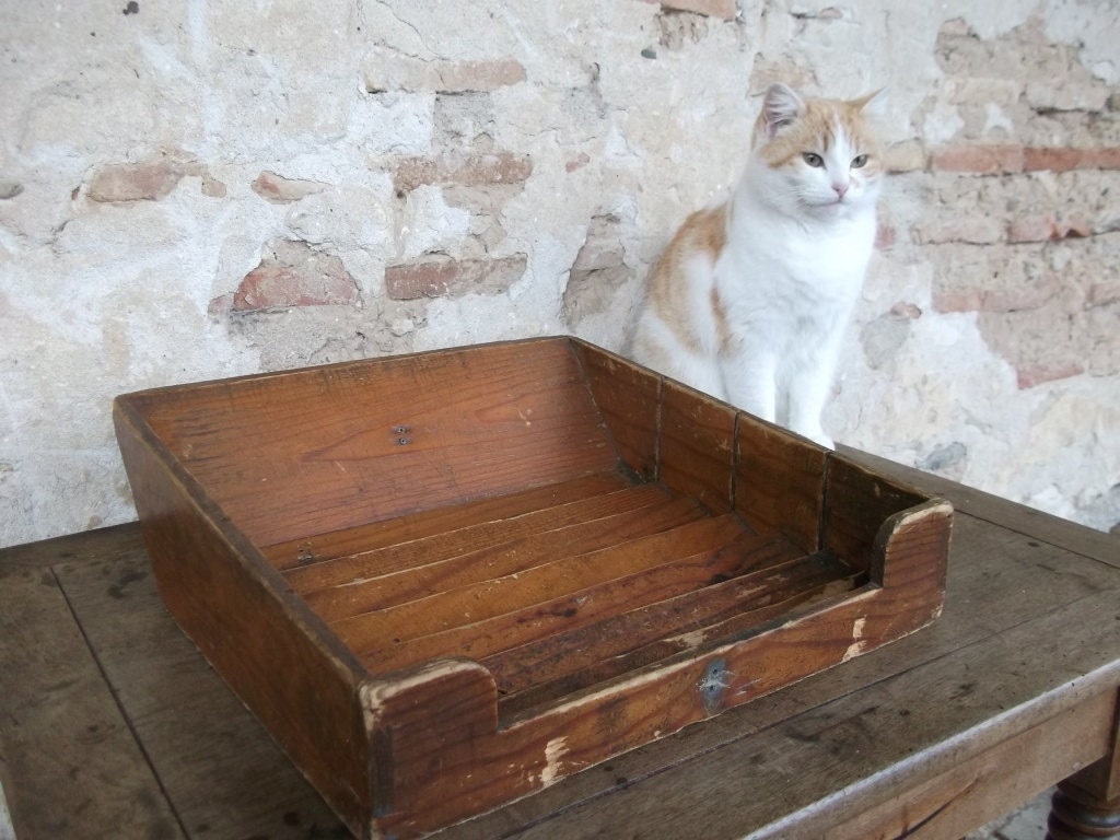 French Vintage Wooden Shop Display Unit