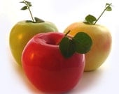 Apple Vase Trio