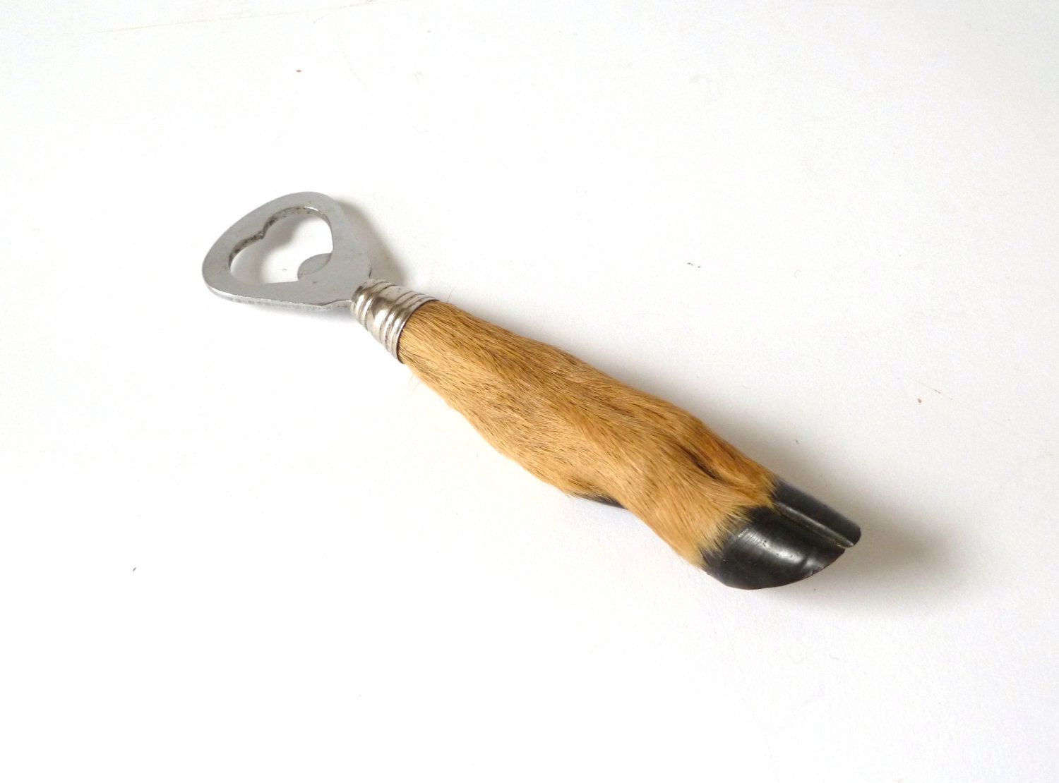 Vintage Deer Hoof Bottle Opener ... Deer Foot, Fawn Foot, Taxidermy, Steampunk