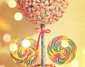 Lollipop Topiary - a Custom made Whimsical,Party Candy Buffet,Station,Centerpiece or gift