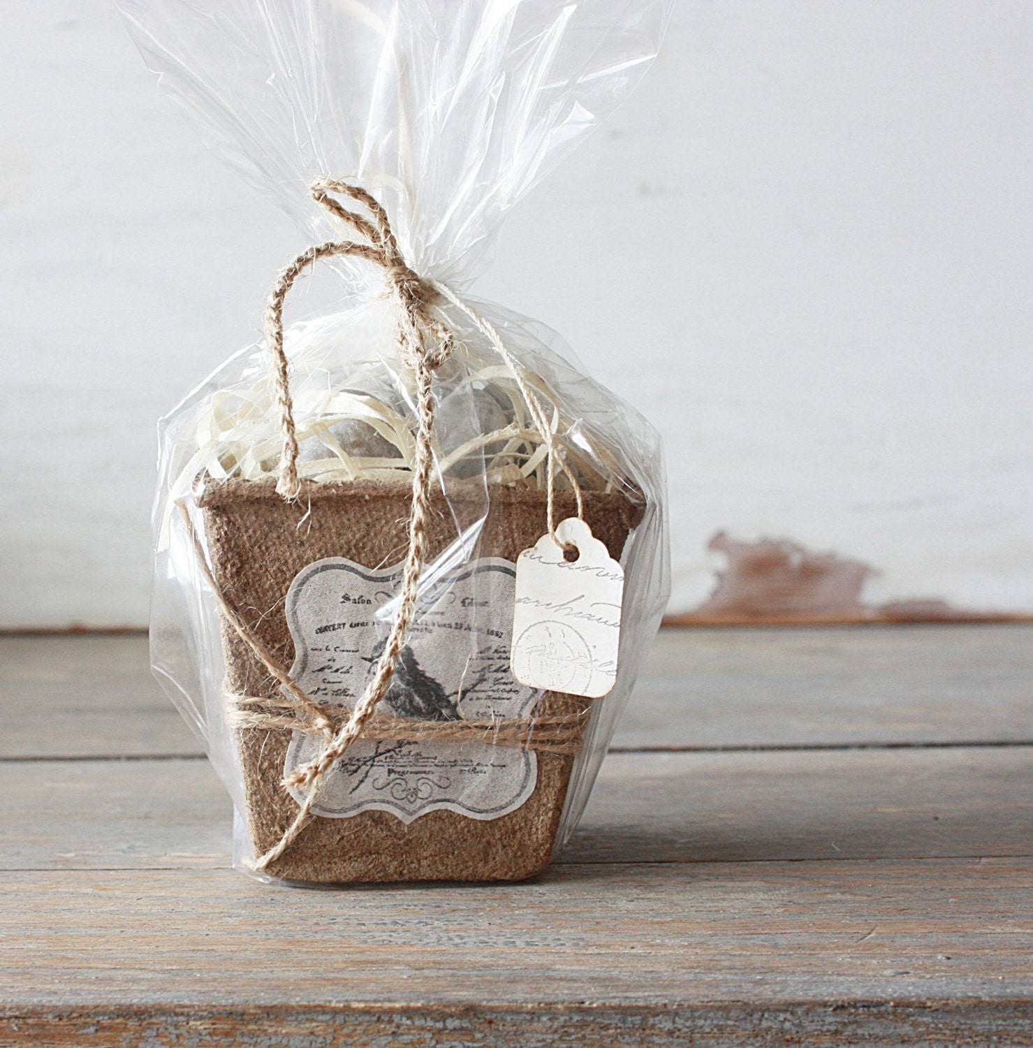 Peat Pot with Weathered Robins Eggs - Set of Six