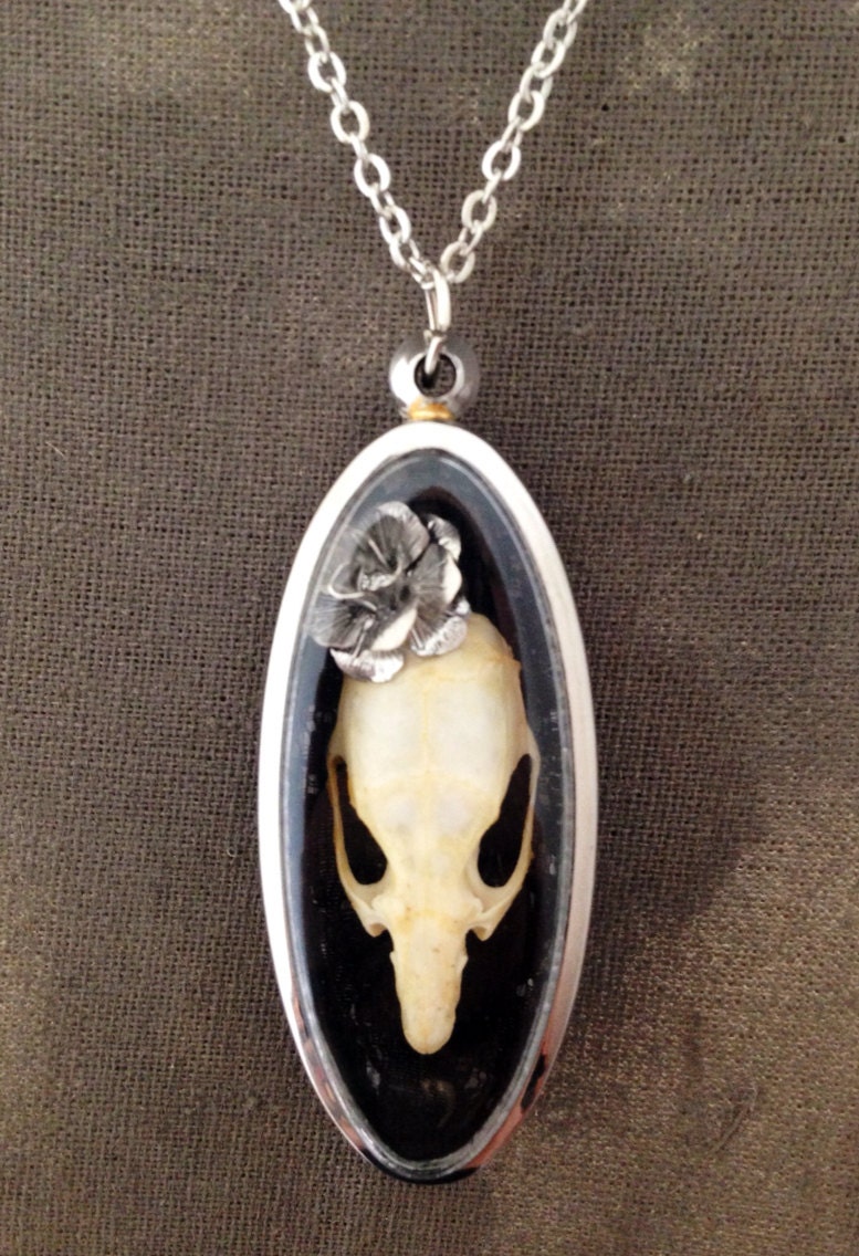 Taxidermy Mouse skull Curio Necklace