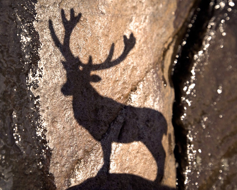 deer shadow, antlers, warm tone, cabin art, wilderness - Shadow of Wilderness 8 x 10