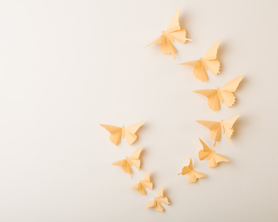 3D Wall Butterflies, 10 Custard Butterfly Silhouettes for Girls Room, Nursery, and Home Art Decor