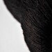 Angry black bear OOAK - BFL Sock Yarn superwash
